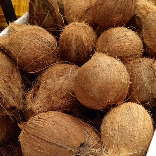 Coconut