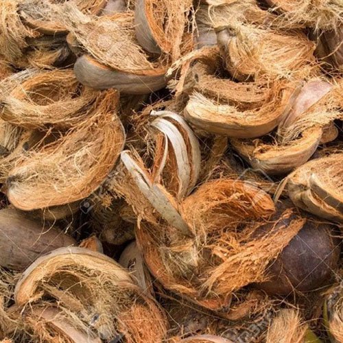 Coconut Husk