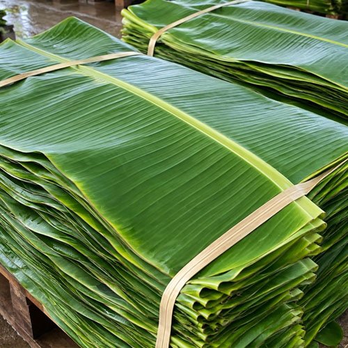 Banana Leaf